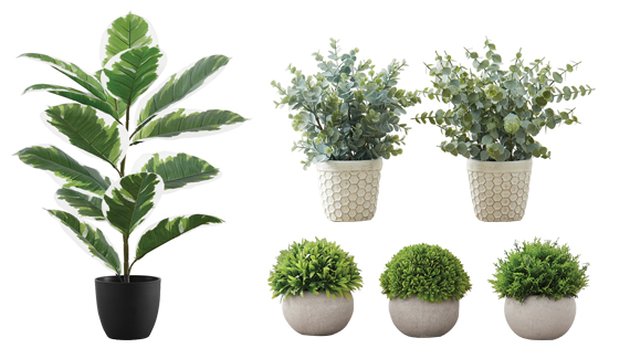Image Artificial Plants and Planters